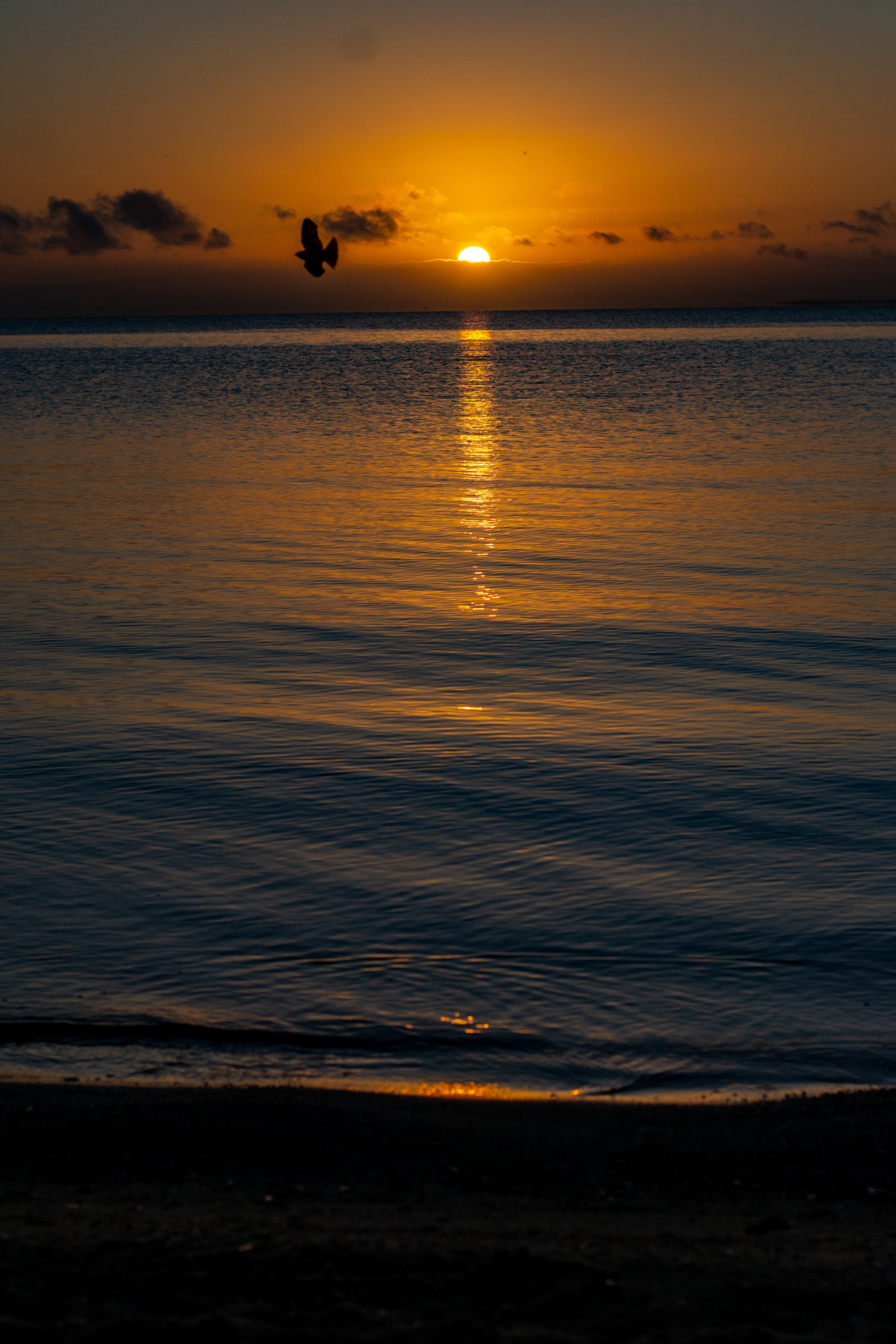 Inkmayim Tattoo Studio