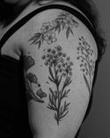 Tatuagem floral feita em linha fina (fineline), estilo esboço (sketch) na região do biceps, parte interna do braço.