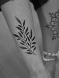 Tatuagem minimalista feita em pontilhismo (dotwork) na região da tíbia, representando um ramo de folhas.