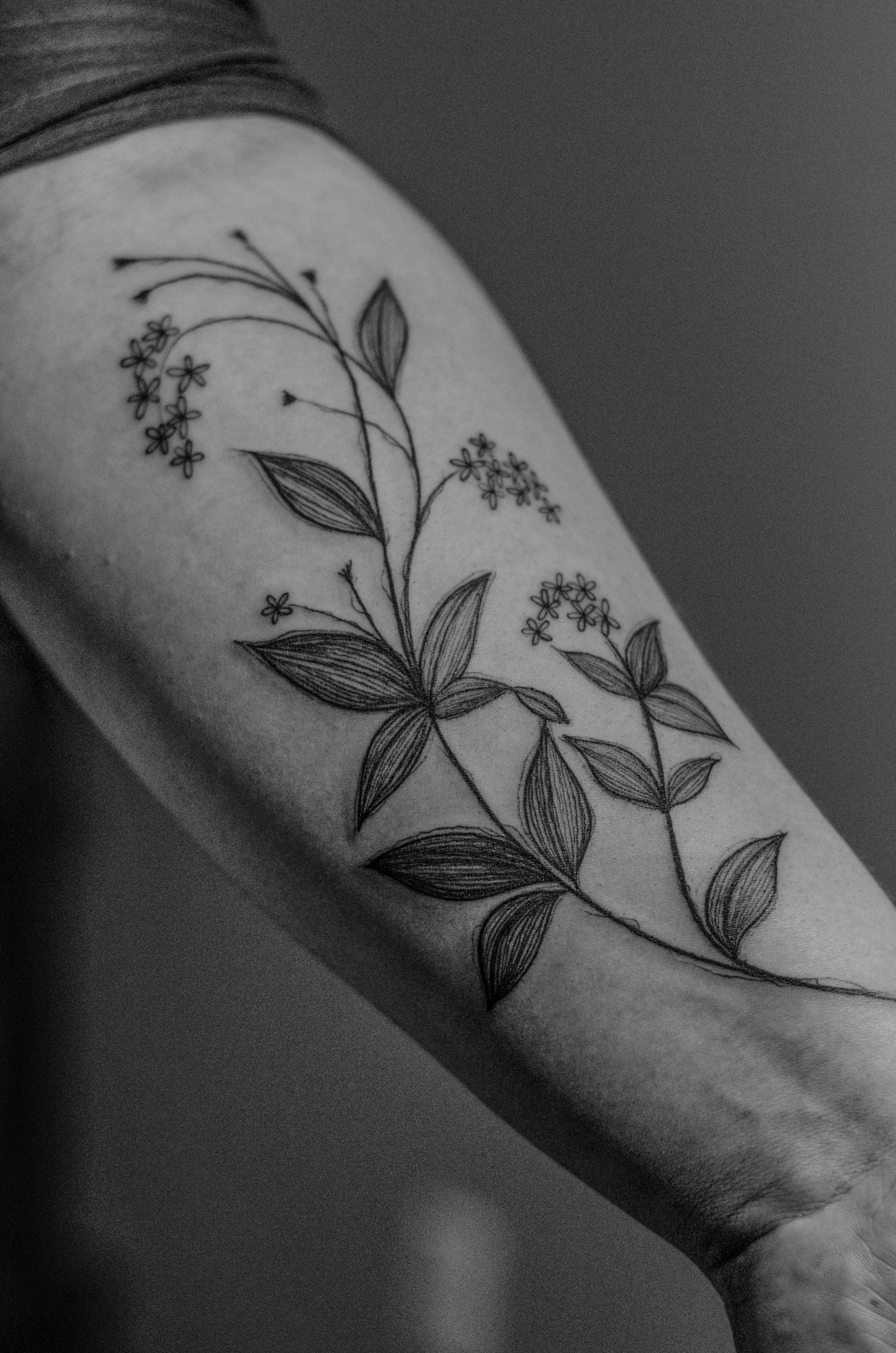 Tatuagem minimalista feita em linha fina (fineline) na região do antebraço, representando um ramode folhas e flores pequenas.
