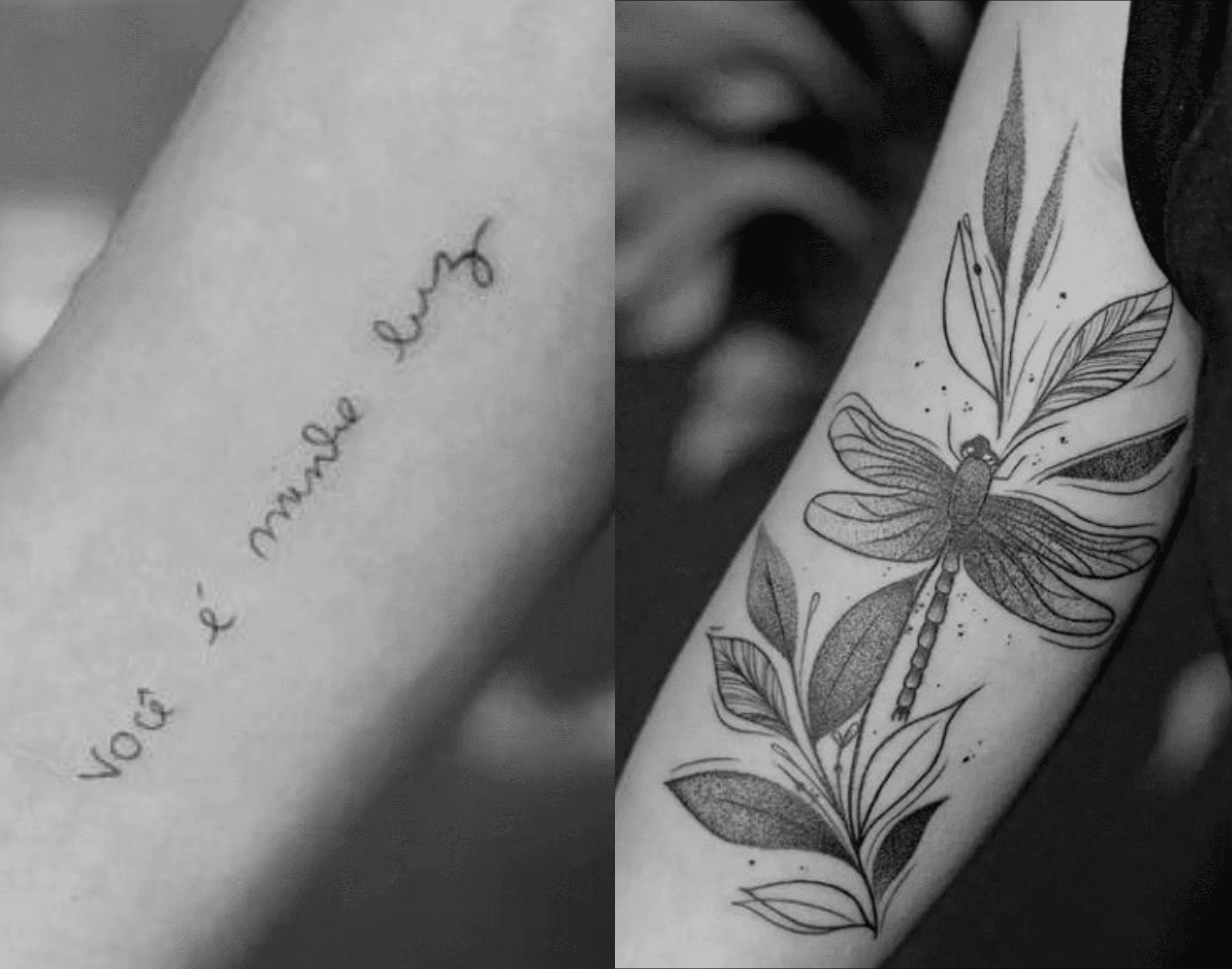 Cobertura feita linha fina (fineline) e pontilhismo (dotwork) na região do biceps, representando uma libélula e folhas, cobrindo uma tatuagem antiga.